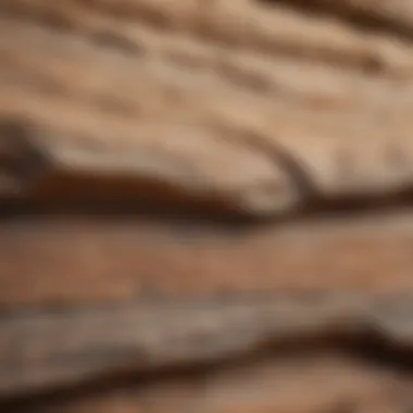 A close-up view of different sandstone textures showcasing their unique patterns