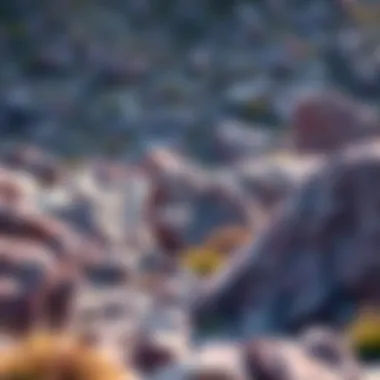 A tranquil landscape featuring purple rocks in their natural environment