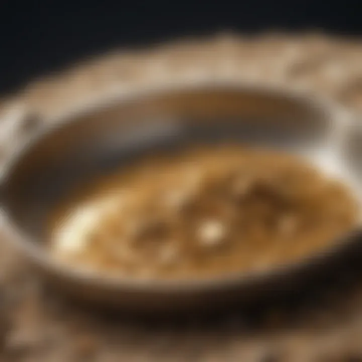 Close-up of a gold pan filled with sediment and gold flakes