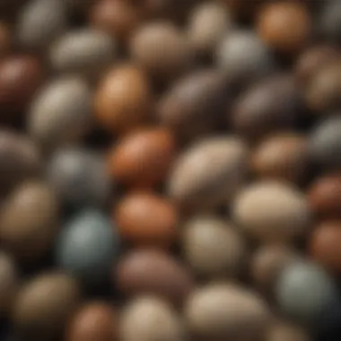 An assortment of different dinosaur eggs, highlighting the diversity and uniqueness of these ancient relics. Variety of dinosaur eggs on display