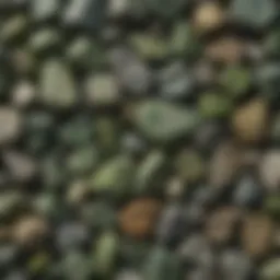 A variety of green rocks showcasing different textures and shades