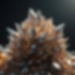 A cluster of metallic looking crystals glistening in natural light