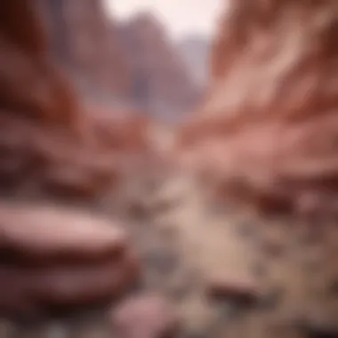 Geological Formation of Pinkish Rocks An illustration depicting the geological formation of pinkish rock layers.