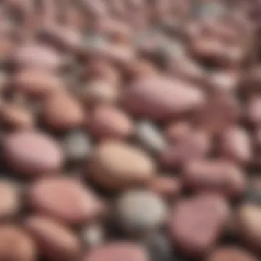 A collection of various pinkish rocks displayed in a natural setting.