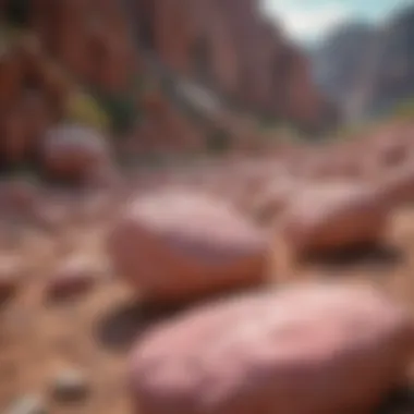 Natural Habitat of Pinkish Rocks A scenic landscape featuring pinkish rocks in their natural habitat.