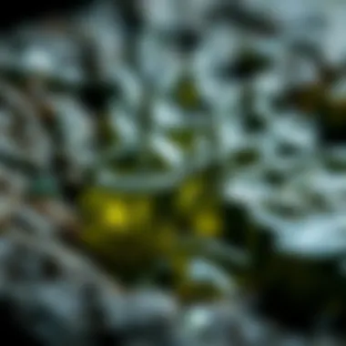 Unique Surface Features of Moldavite Close-up view of moldavite's distinctive surface characteristics magnified