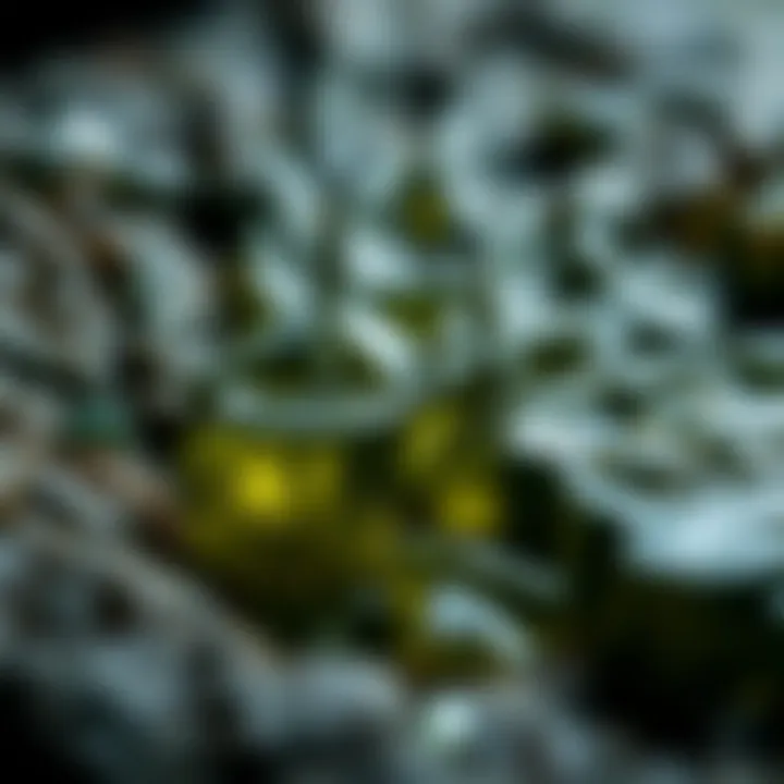 Unique Surface Features of Moldavite Close-up view of moldavite's distinctive surface characteristics magnified