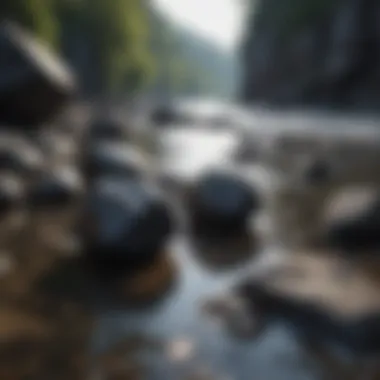 Natural setting with shiny black rocks by a river