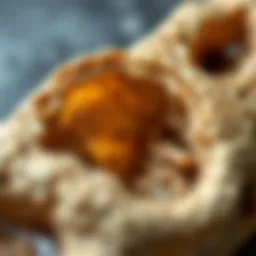 Close-up of agatized dinosaur bone showing crystalline structure