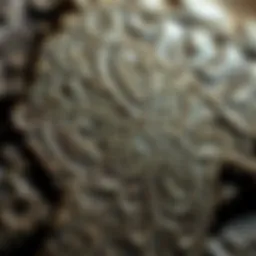 A close-up view of a dinosaur skin fossil showcasing intricate textures