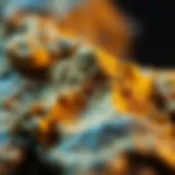 A close-up view of gold dirt showcasing its unique texture and richness