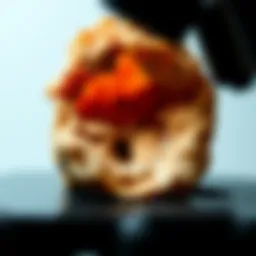 Close-up view of a rock sample under a microscope highlighting mineral composition