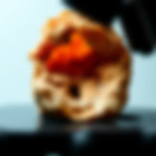 Close-up view of a rock sample under a microscope highlighting mineral composition