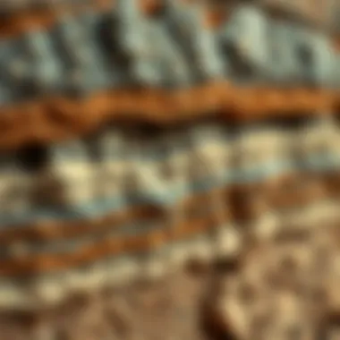 Textural Features in Sedimentary Rocks Microscopic view of sedimentary rock layers revealing textural details