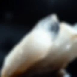 Close-up of a quartz crystal showcasing its natural beauty