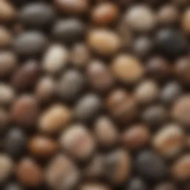 A collection of various palm stones displayed on a natural wooden surface