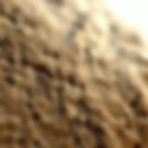 Unique Surface Patterns of Flint Close-up view of flint texture showcasing its unique surface patterns