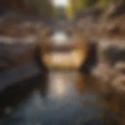 A detailed view of a small gold sluice in a natural setting