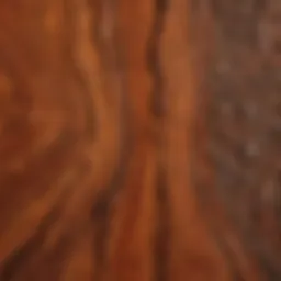 Close-up of snakewood grain showcasing its unique patterns