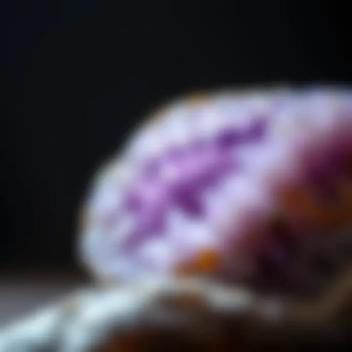 Close-up of amethyst stone highlighting its unique geological formations