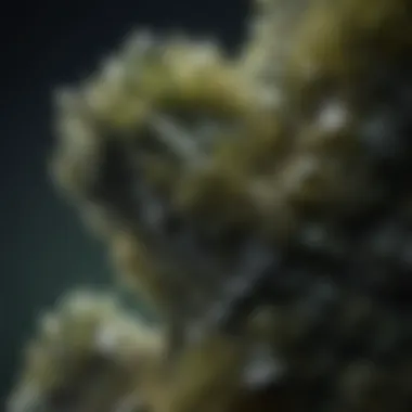 Close-up of a moldavite piece highlighting its extraterrestrial texture
