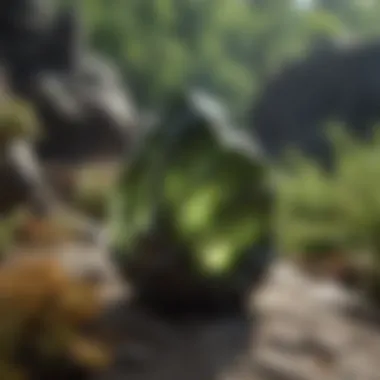 Moldavite in a natural setting, emphasizing its geological context