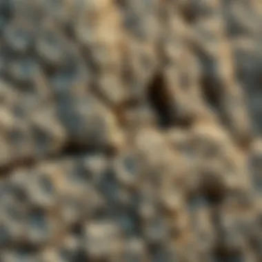 Intricate Rock Textures Textured surface of a unique rock formation