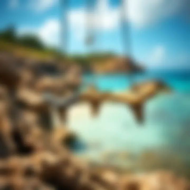 Artistic representation of shark tooth necklaces in a serene coastal setting