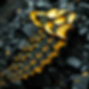 Biodiversity affected by mining activities in a gold-rich region