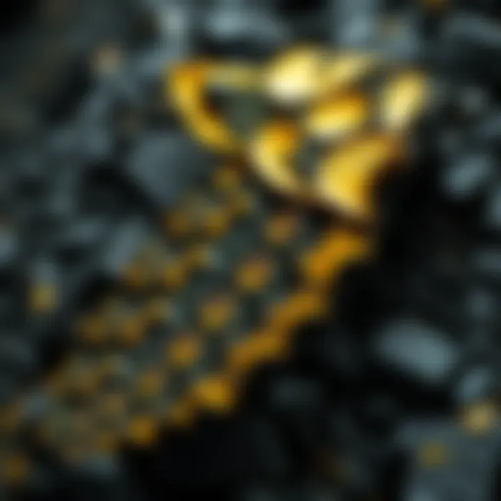 Biodiversity affected by mining activities in a gold-rich region