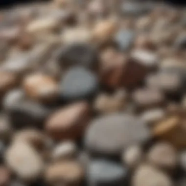 Diverse Rock Collection A diverse collection of rocks displayed in an organized manner, highlighting their geological diversity.