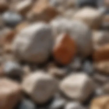 Close-up view of various rock samples for identification.