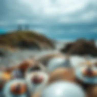 Expansive coastal vista showcasing Fort Bragg's shoreline