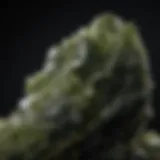 Close-up of authentic moldavite showcasing its unique texture and color