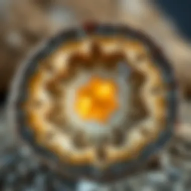 Cross-Section of a Geode Showcasing Internal Layers Cross-section of a geode revealing its internal structure