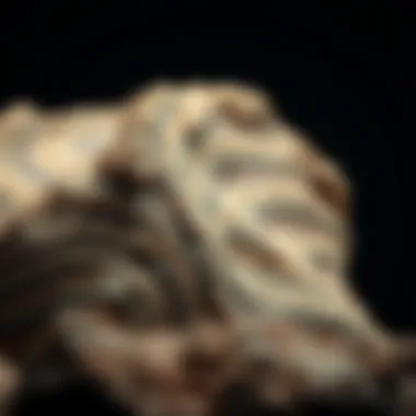 Metamorphic Rock Features Metamorphic rock exhibiting foliation and mineral alignment