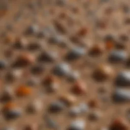 Close-up of Jurassic sand grains showcasing unique mineral composition