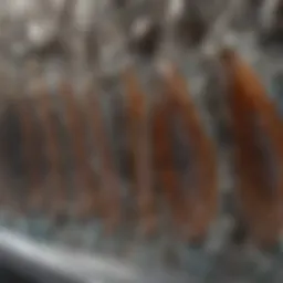 Close-up view of a high-quality lapidary diamond blade showcasing its teeth and construction