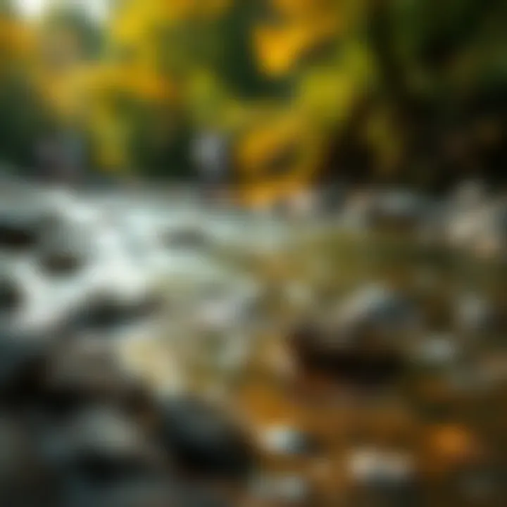 Tranquility of Gold Panning Locations A serene river setting ideal for panning with vibrant surroundings