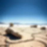 A panoramic view of the Racetrack Playa with moving rocks