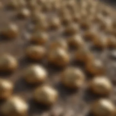 Gold Nuggets from River Sediment Close-up of gold nuggets found in river sediment.