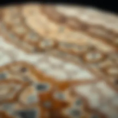 A close-up of a polished stone revealing intricate patterns