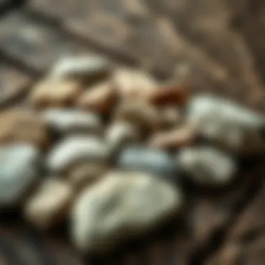 A collection of Petoskey stones displayed on a rustic wooden surface