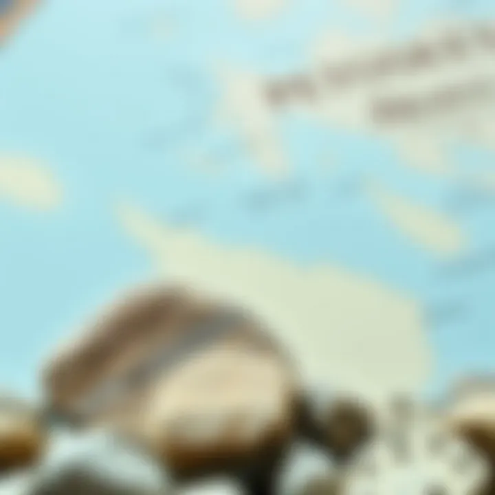 A map highlighting the origin of Petoskey stones along the Michigan coastline