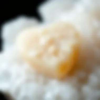 Close-up of selenite heart crystal showcasing its unique texture