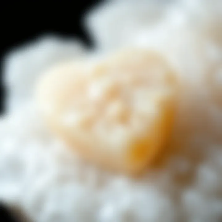 Close-up of selenite heart crystal showcasing its unique texture