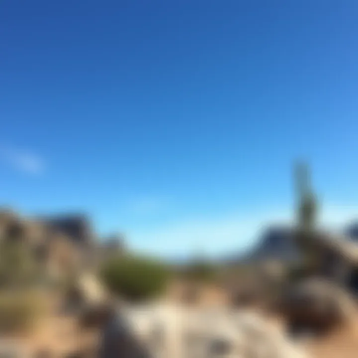 A serene Arizona location ideal for rock collection and exploration