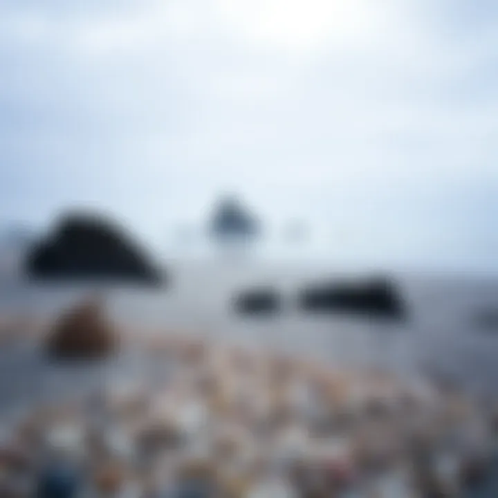 A serene beach scene highlighting the natural beauty and tranquility of Fort Bragg