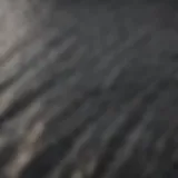 Close-up of shark skin texture showcasing its unique pattern