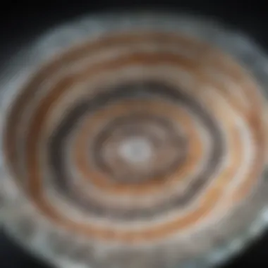 A stunning quartz bowl displaying intricate natural patterns